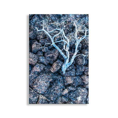 Abstract art of a white branch on a textured blue and gray background. Lava Rock and Deadwood Nature Photography as Still Life Art