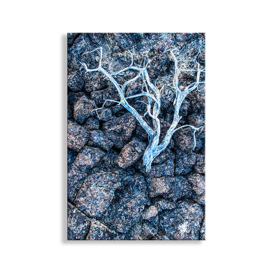 Abstract art of a white branch on a textured blue and gray background. Lava Rock and Deadwood Nature Photography as Still Life Art