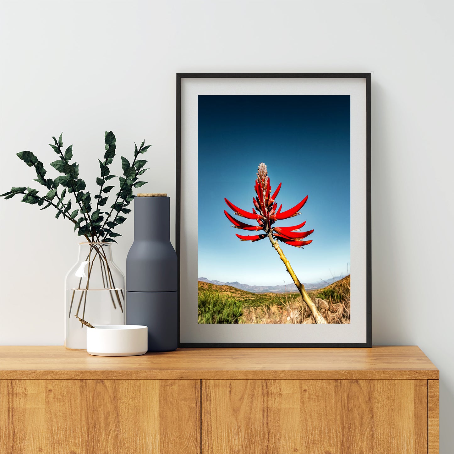 Coral Bean Plant Flower | Arizona Desert Botanical Art Print