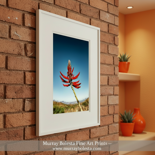Coral Bean Plant Flower | Arizona Desert Botanical Art Print by Murray Bolesta