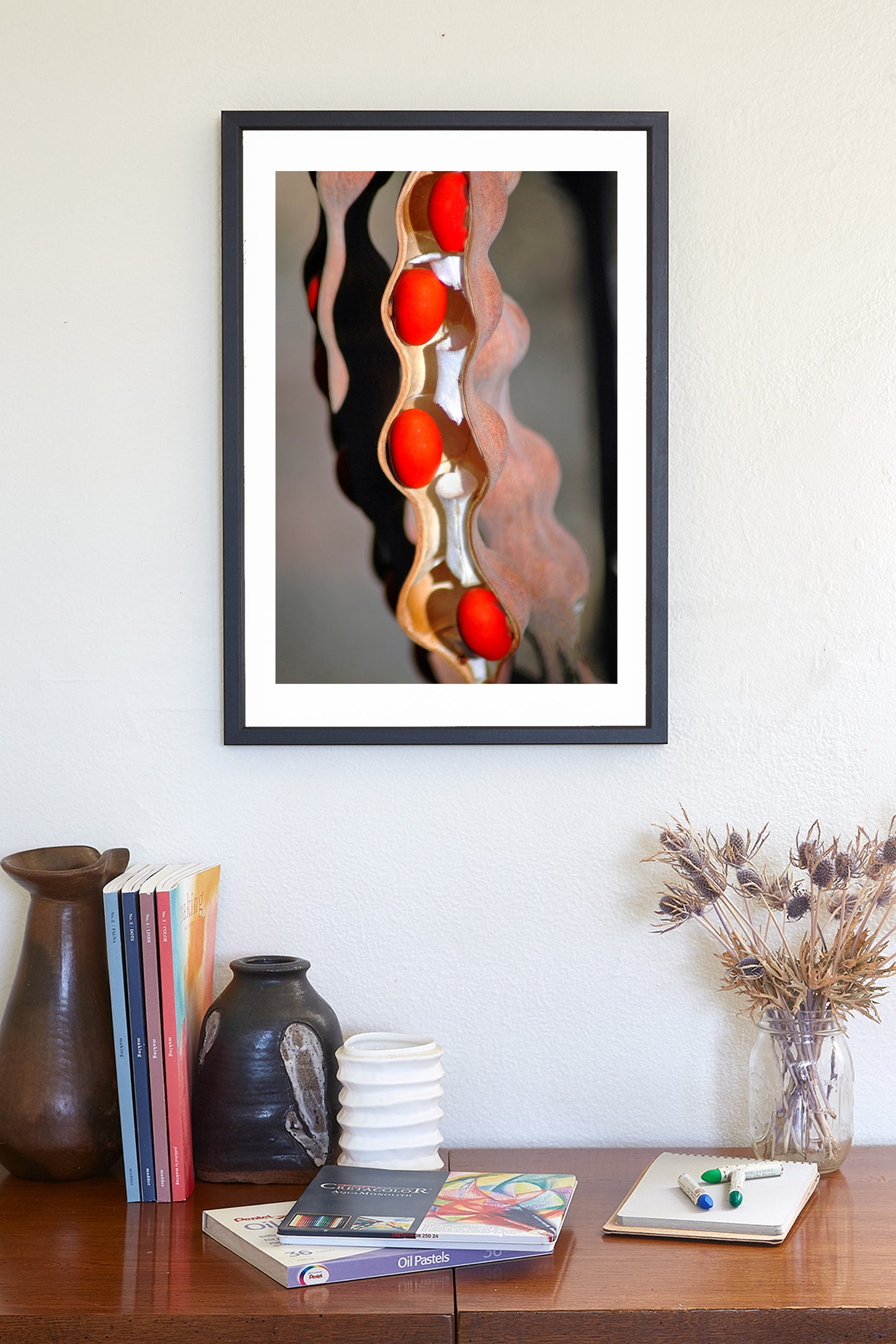 Fine Art Botanical Print with Coral Bean Pod | Arizona Nature