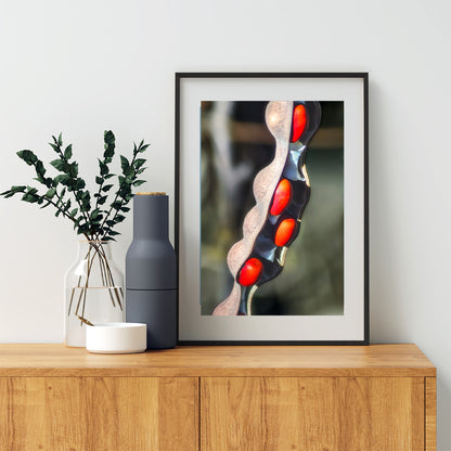 Elegant Nature Photography with Coral Bean Pod Botanical Wall Decor