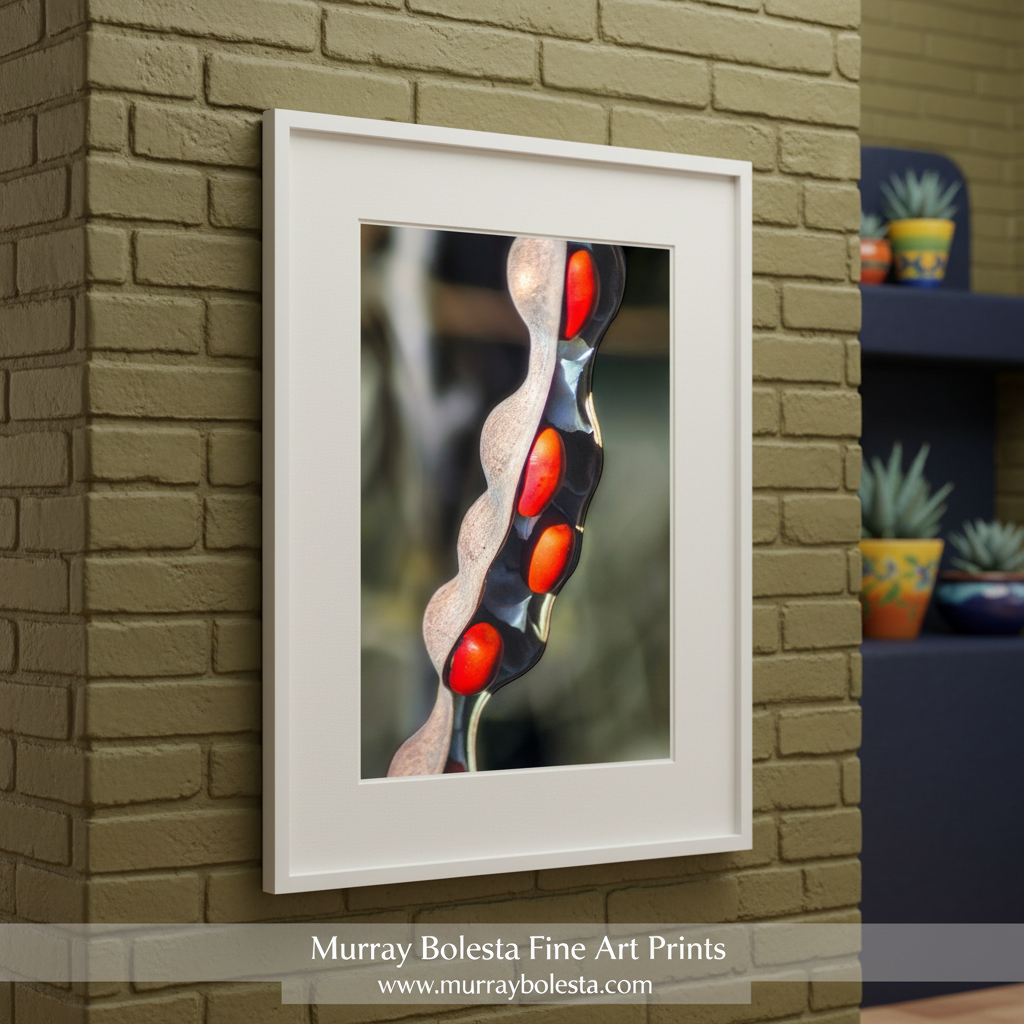 Close-up of a decorative item with red and black design on a blurred background. Elegant Nature Photography with Coral Bean Pod Botanical Wall Decor by Murray Bolesta