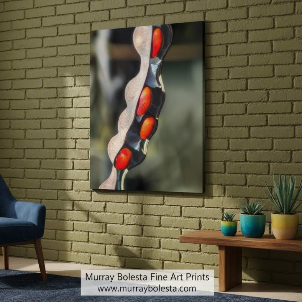 Close-up of a decorative item with red and black design on a blurred background. Elegant Nature Photography with Coral Bean Pod Botanical Wall Decor by Murray Bolesta