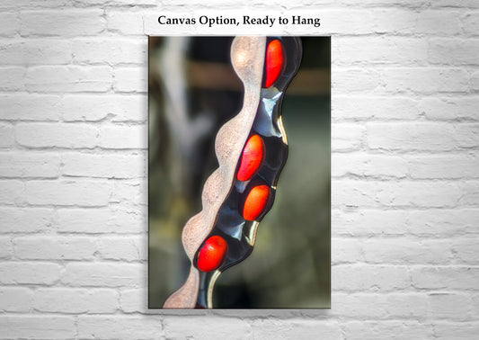 Elegant Nature Photography with Coral Bean Pod Botanical Wall Decor