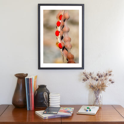 Nature Photography with Coral Bean Pod | Desert Botanical Wall Art