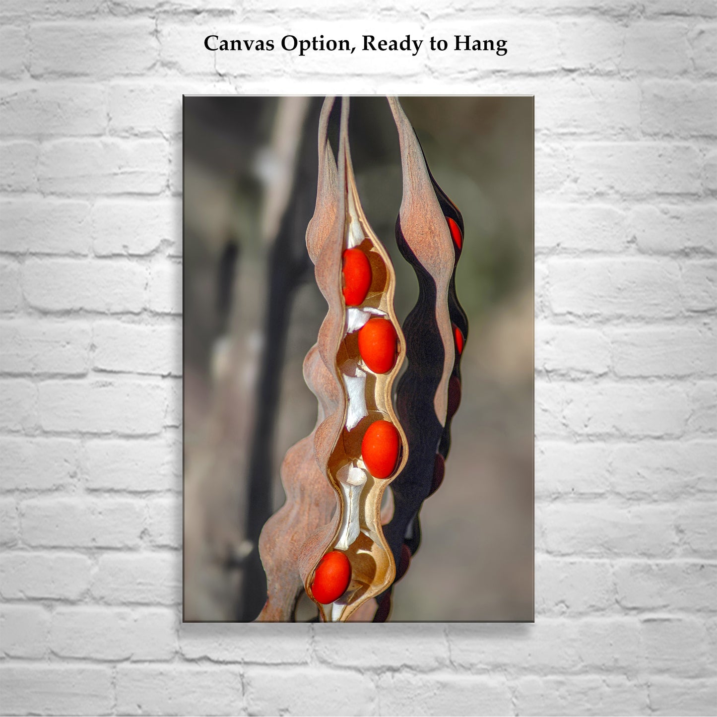Desert Nature with Coral Bean Pod Painterly Fine Art Print