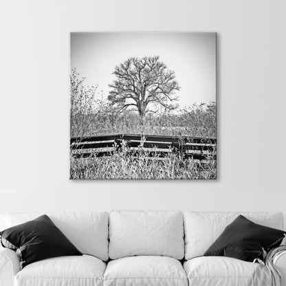 Cottonwood Tree in Frosty Winter Landscape Black White Artwork