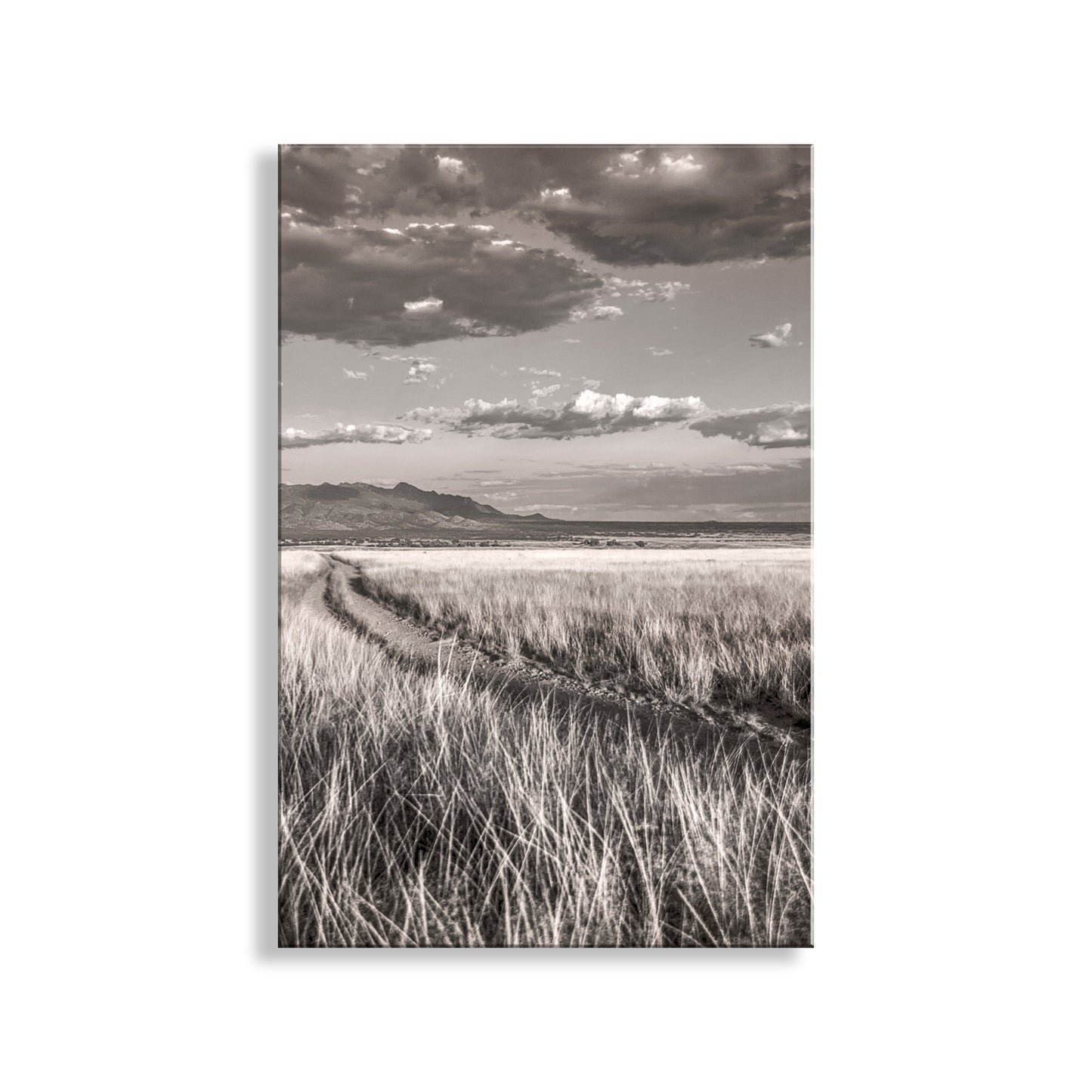 Black and white landscape with a path through grass and mountains under a cloudy sky. Country Road Landscape Art in San Rafael Valley Arizona Ranchland