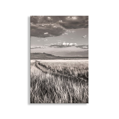 Black and white landscape with a path through grass and mountains under a cloudy sky. Country Road Landscape Art in San Rafael Valley Arizona Ranchland