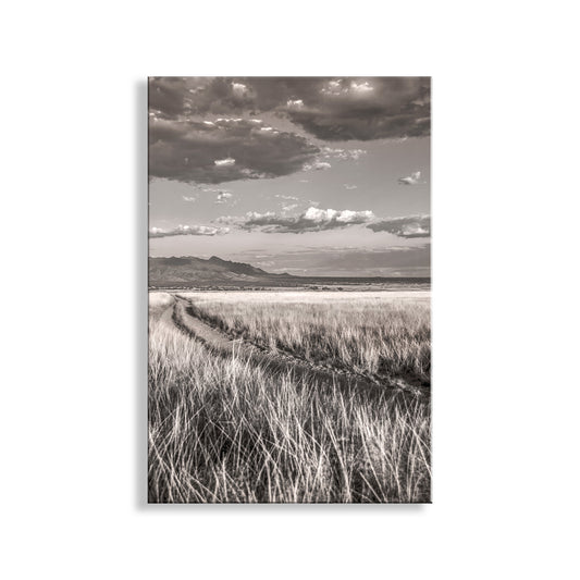 Black and white landscape with a path through grass and mountains under a cloudy sky. Country Road Landscape Art in San Rafael Valley Arizona Ranchland
