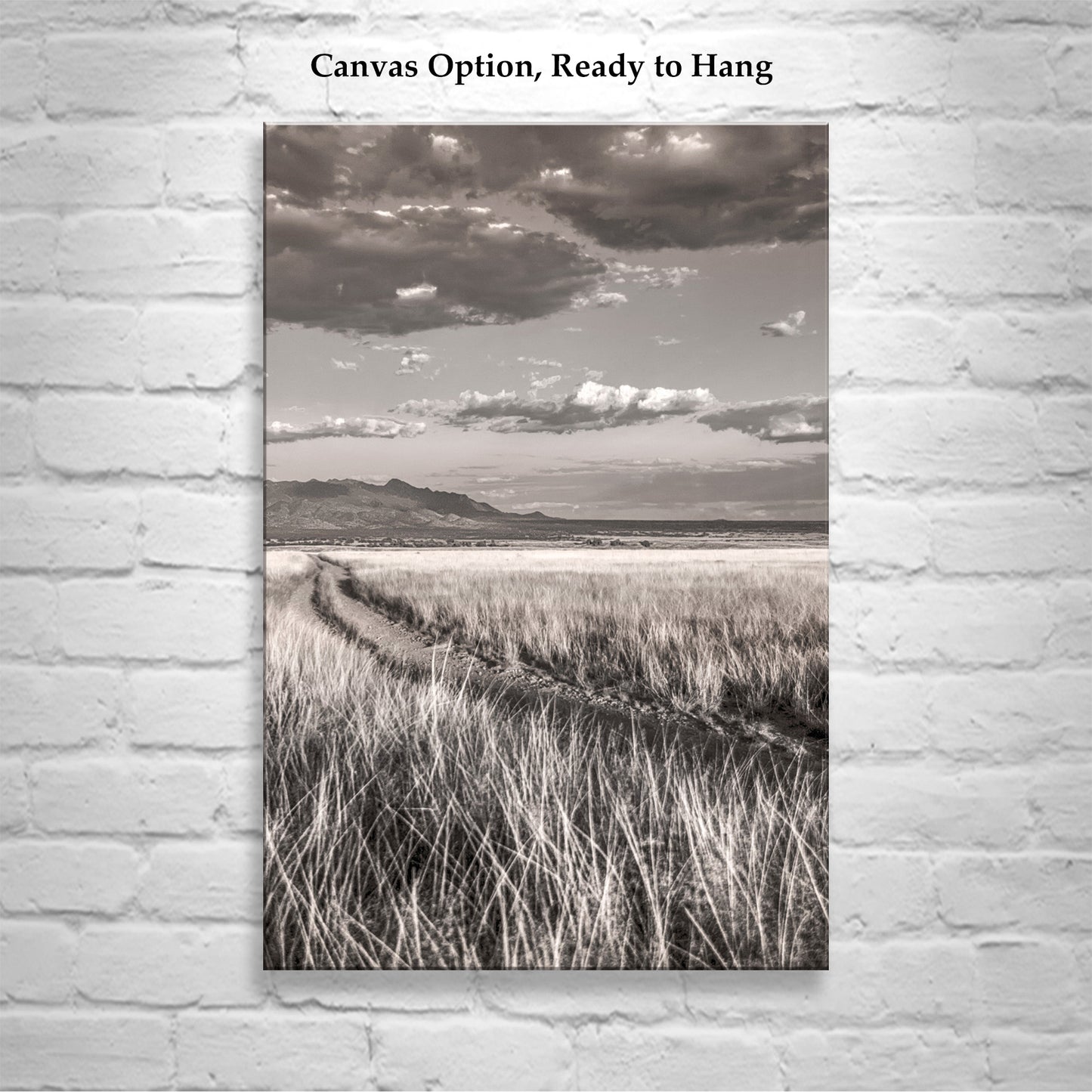 Country Road Landscape Art in San Rafael Valley Arizona Ranchland