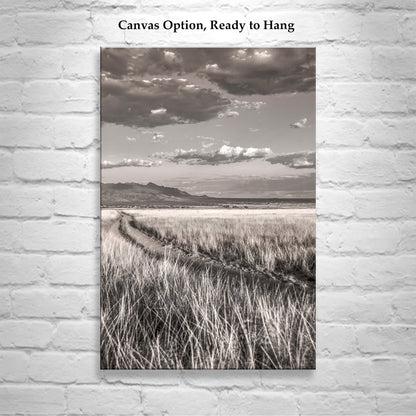 Country Road Landscape Art in San Rafael Valley Arizona Ranchland