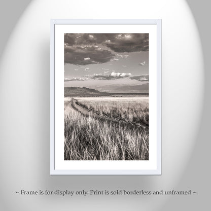 Country Road Landscape Art in San Rafael Valley Arizona Ranchland