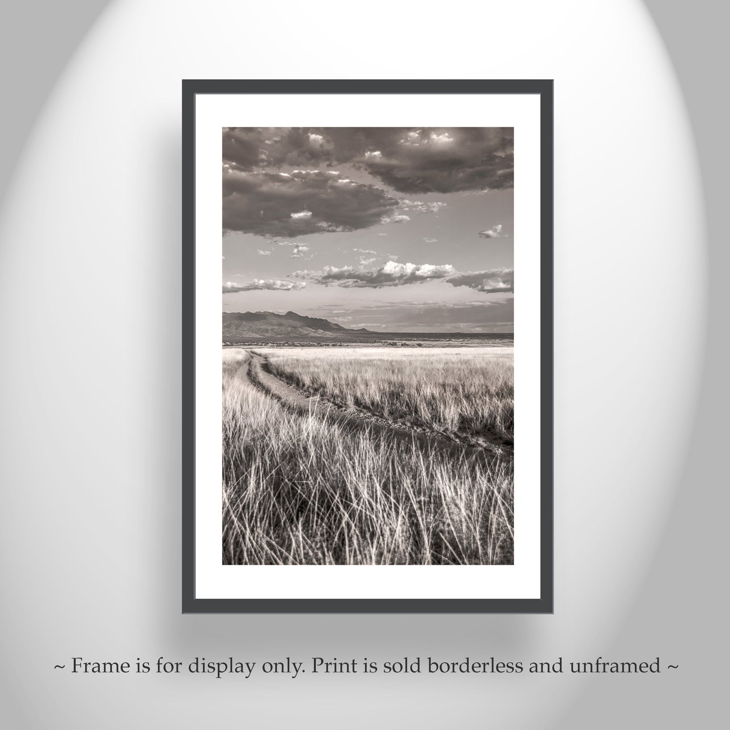 Country Road Landscape Art in San Rafael Valley Arizona Ranchland