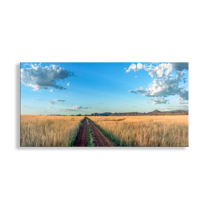 Scenic view of a dirt road in a field with a blue sky and clouds. Country Roads Art Photography in Panorama | San Rafael Valley Southern Arizona