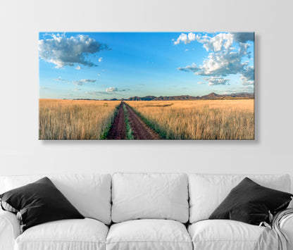 Country Roads Art Photography in Panorama | San Rafael Valley Southern Arizona