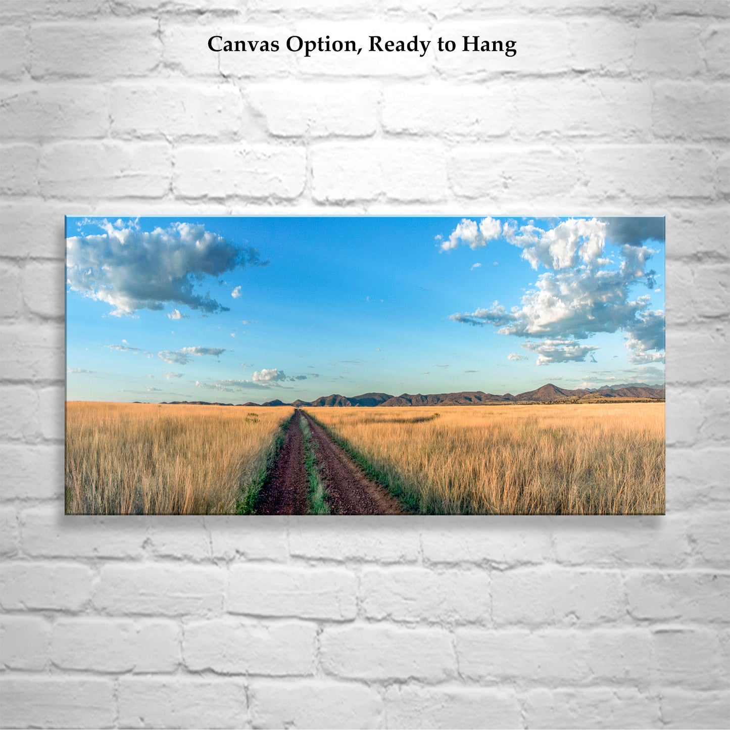 Country Roads Art Photography in Panorama | San Rafael Valley Southern Arizona