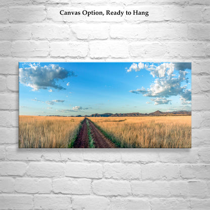 Country Roads Art Photography in Panorama | San Rafael Valley Southern Arizona