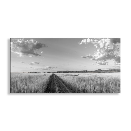 Black and white landscape of a field with a path leading towards mountains. Western Road Trip Landscape Photography | Prairie Ranch in Black & White