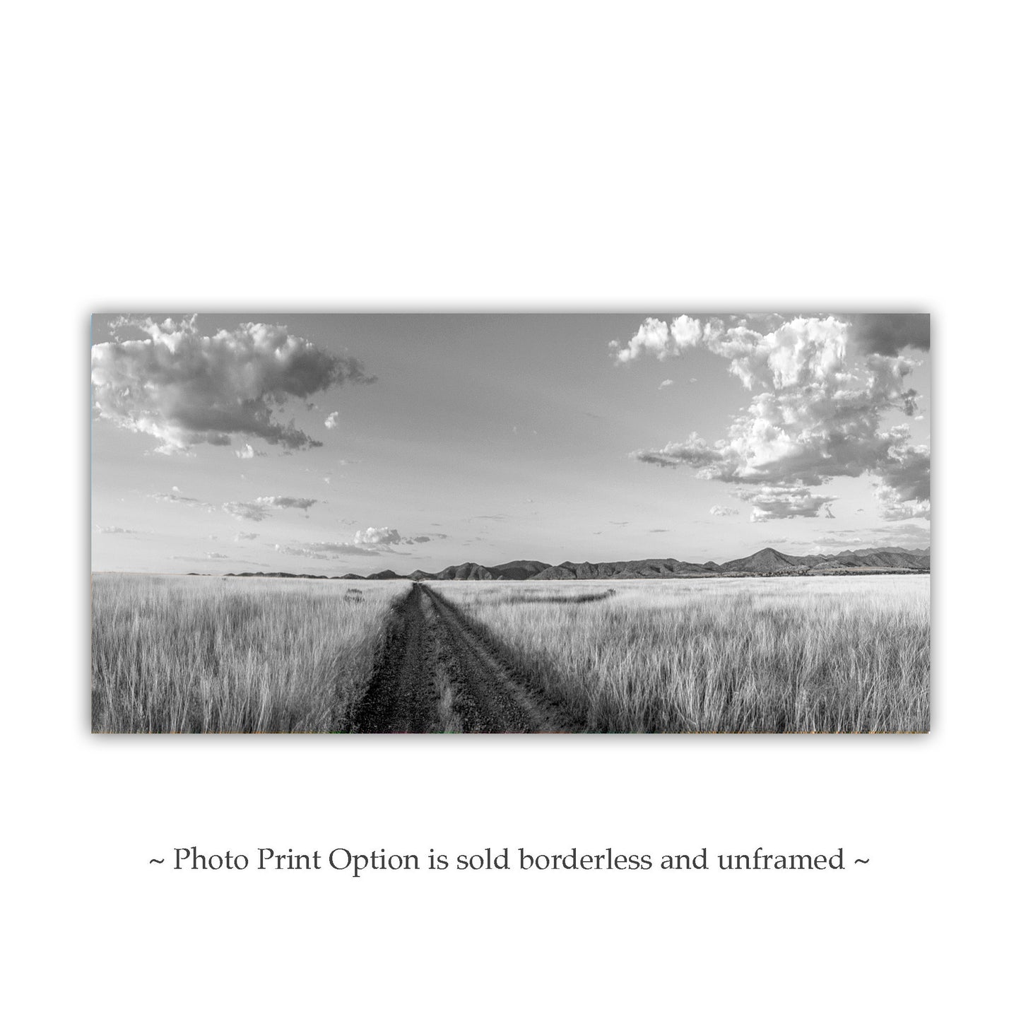 Western Road Trip Landscape Photography | Prairie Ranch in Black & White