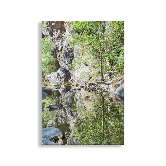 Desert Stream Wilderness Photography in Arizona Canyon