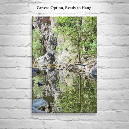 Desert Stream Wilderness Photography in Arizona Canyon