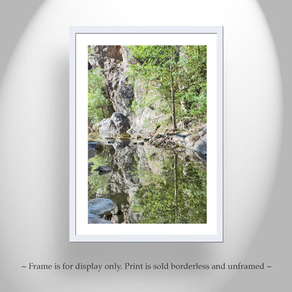 Desert Stream Wilderness Photography in Arizona Canyon