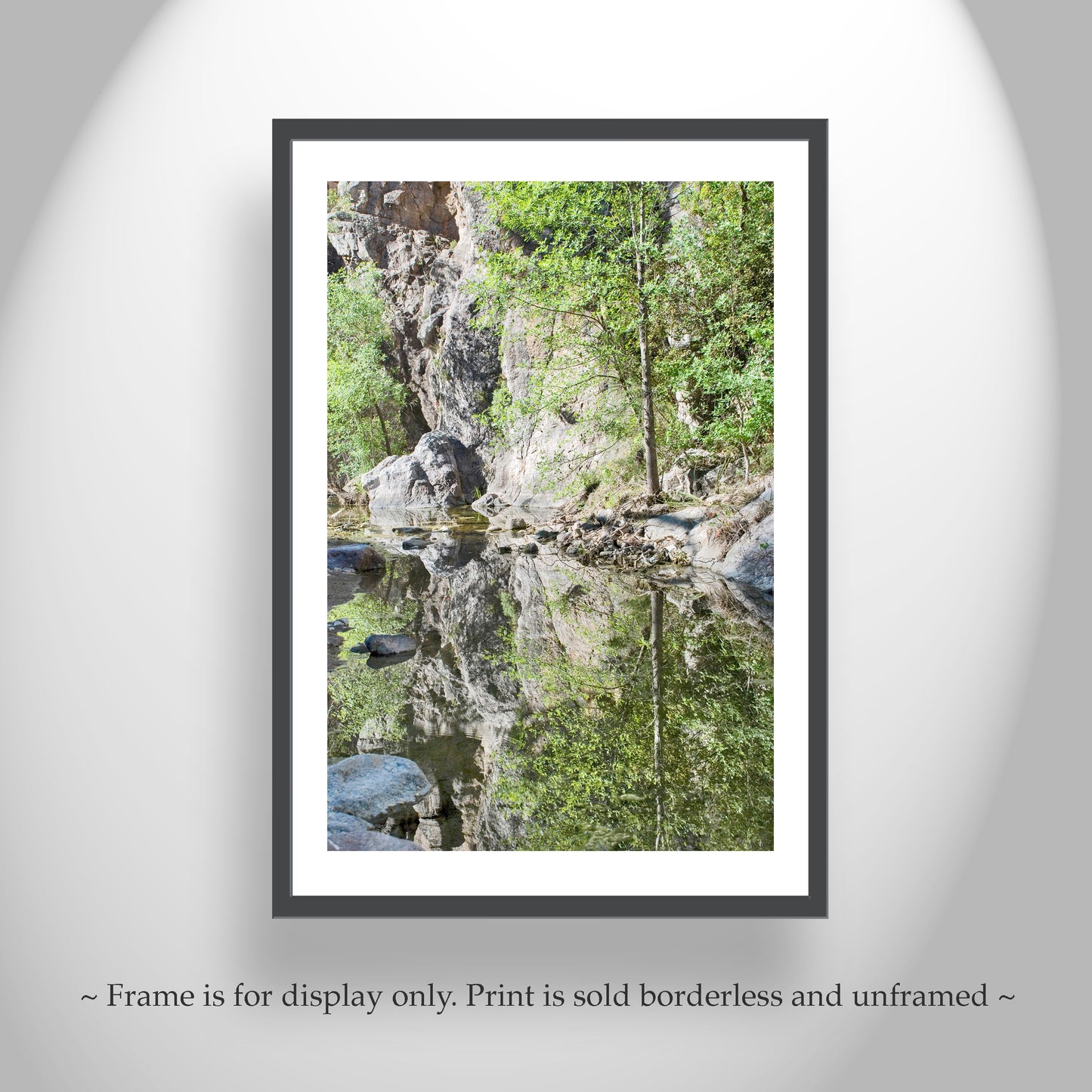 Desert Stream Wilderness Photography in Arizona Canyon