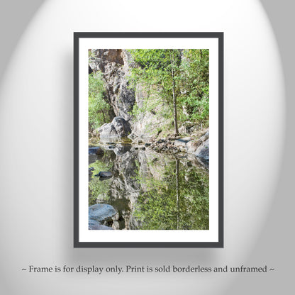 Desert Stream Wilderness Photography in Arizona Canyon