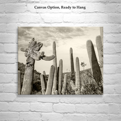 Cactus Landscape Wall Decor with Crested Cactus
