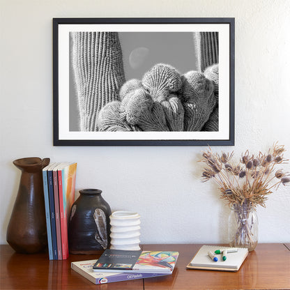 Crested Cactus And Moon Art Print from Saguaro National Park Tucson