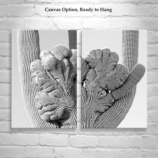Black and White Desert Cactus Art in Tucson Arizona Set of 2 Prints