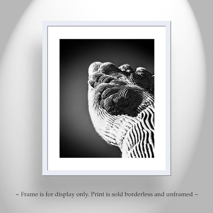 Crested Cactus Abstract Art in Black and White | Arizona Desert Decor