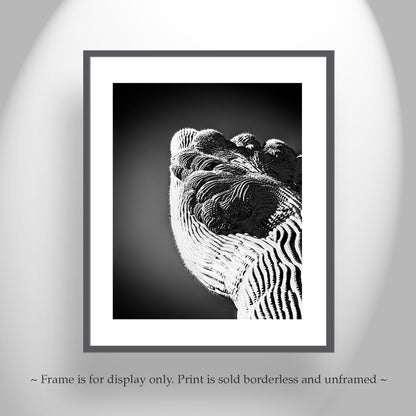Crested Cactus Abstract Art in Black and White | Arizona Desert Decor