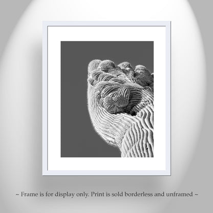 Crested Cactus Abstract Desert Saguaro Art Print in Black and White
