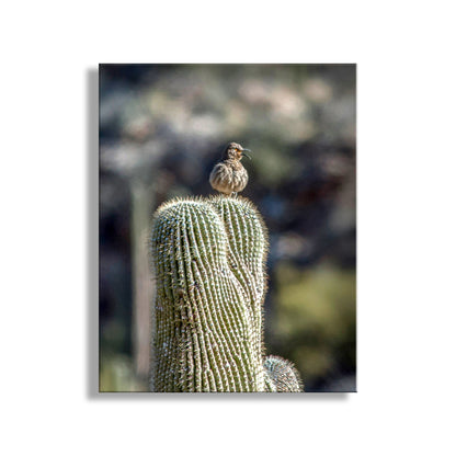 Desert Saguaro Cactus Thrasher Bird Art in Southwestern Style