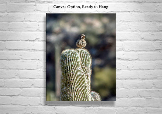 Desert Saguaro Cactus Thrasher Bird Art in Southwestern Style