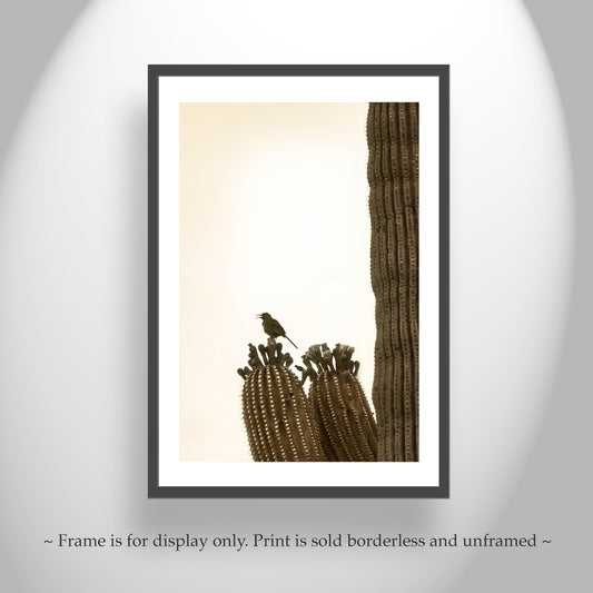 Desert Bird Picture with Thrasher Bird on Arizona Cactus as Art Gift
