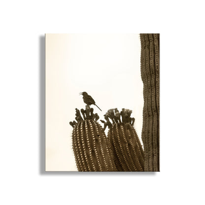 Thrasher Bird on Saguaro Cactus - Arizona Desert Wall Art Print