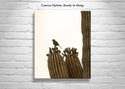Thrasher Bird on Saguaro Cactus - Arizona Desert Wall Art Print