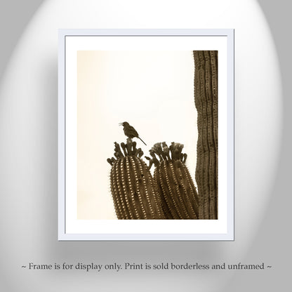 Thrasher Bird on Saguaro Cactus - Arizona Desert Wall Art Print