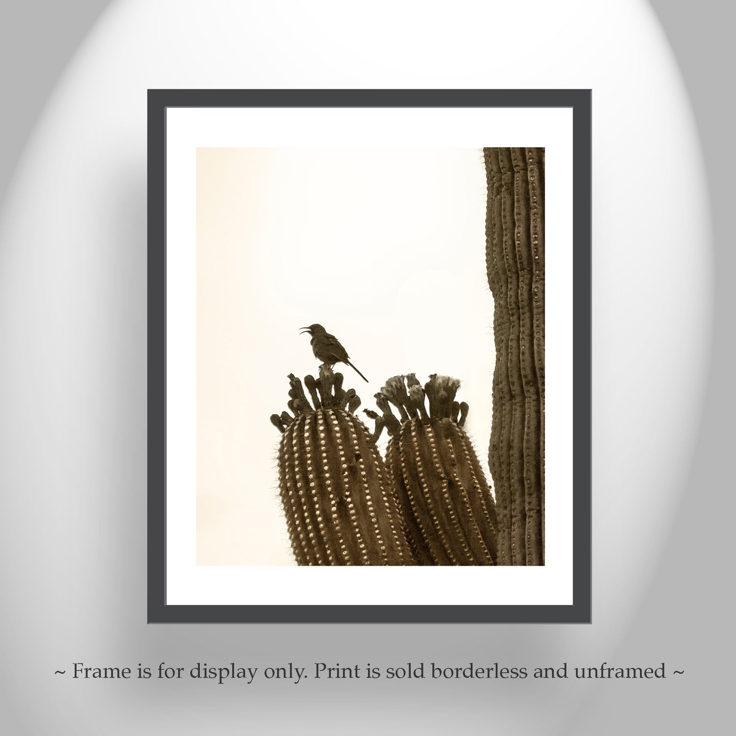 Thrasher Bird on Saguaro Cactus - Arizona Desert Wall Art Print