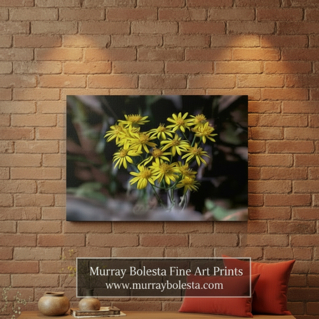 yellow wildflowers by Murray Bolesta