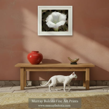Datura Flower Nature Photography with Dew Buds by Murray Bolesta