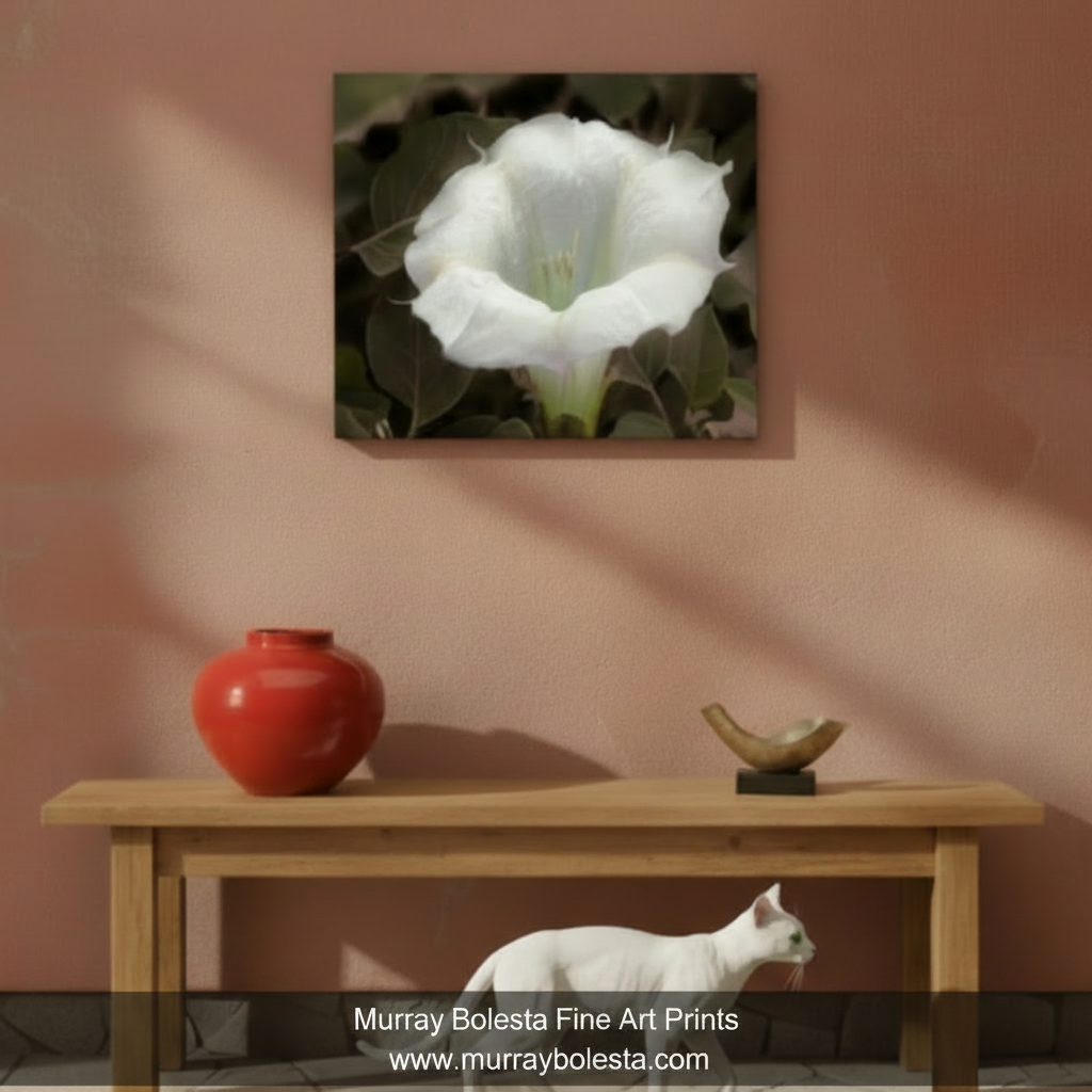 Datura Flower art by Murray Bolesta