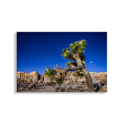 A desert landscape at night, with a towering Joshua tree in the foreground and a starry sky above. Joshua Tree Night Art - Mojave Desert Starry Landscape Print