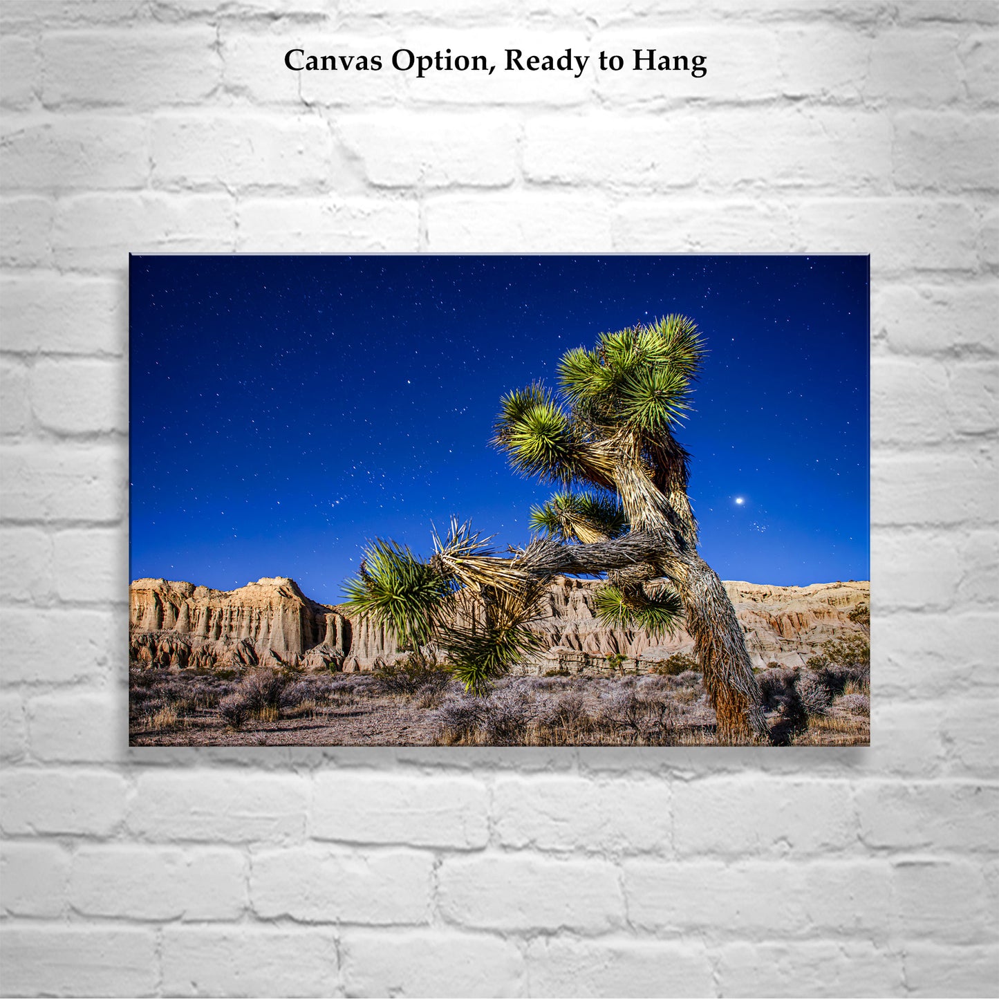 Joshua Tree Night Art - Mojave Desert Starry Landscape Print