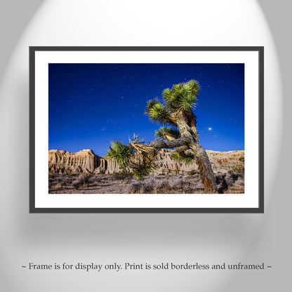 Joshua Tree Night Art - Mojave Desert Starry Landscape Print