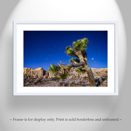 Joshua Tree Night Art - Mojave Desert Starry Landscape Print